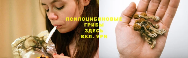 a pvp Сосновый Бор