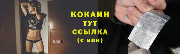 молекула духа Сосновка
