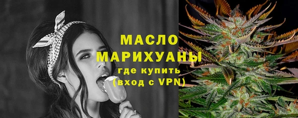 молекула духа Елизово