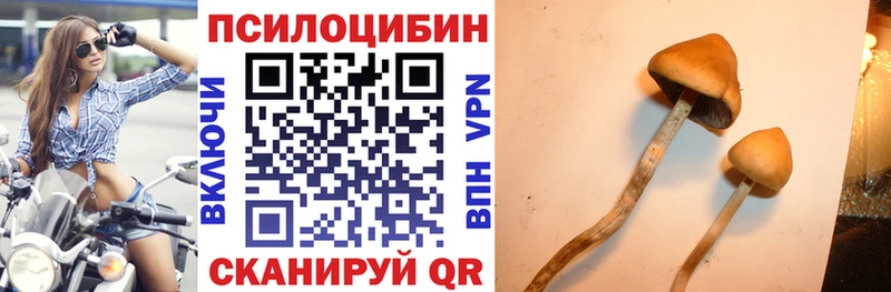 Псилоцибиновые грибы мицелий  Чудово 