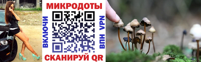 Псилоцибиновые грибы ЛСД Чудово